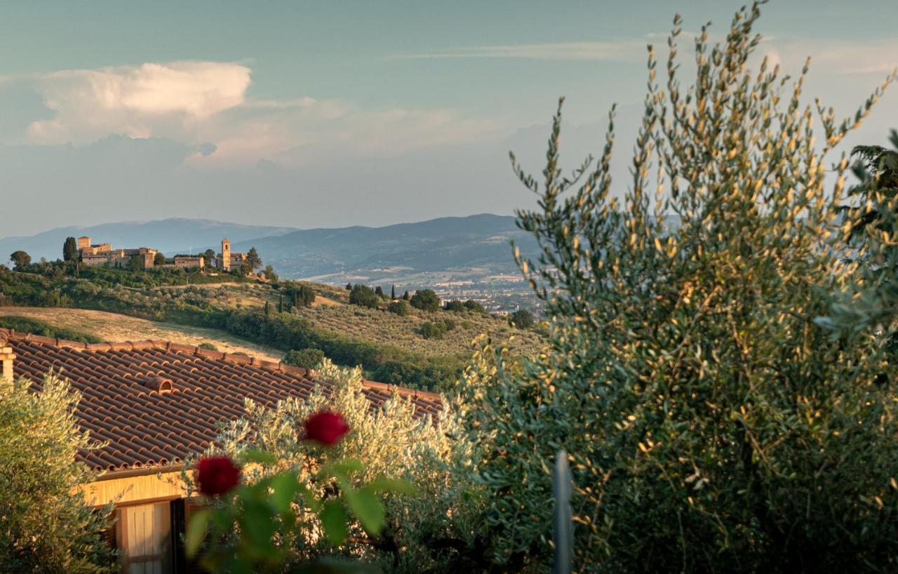 Agriturismo La Rocca Assisi Petrignano Zewnętrze zdjęcie