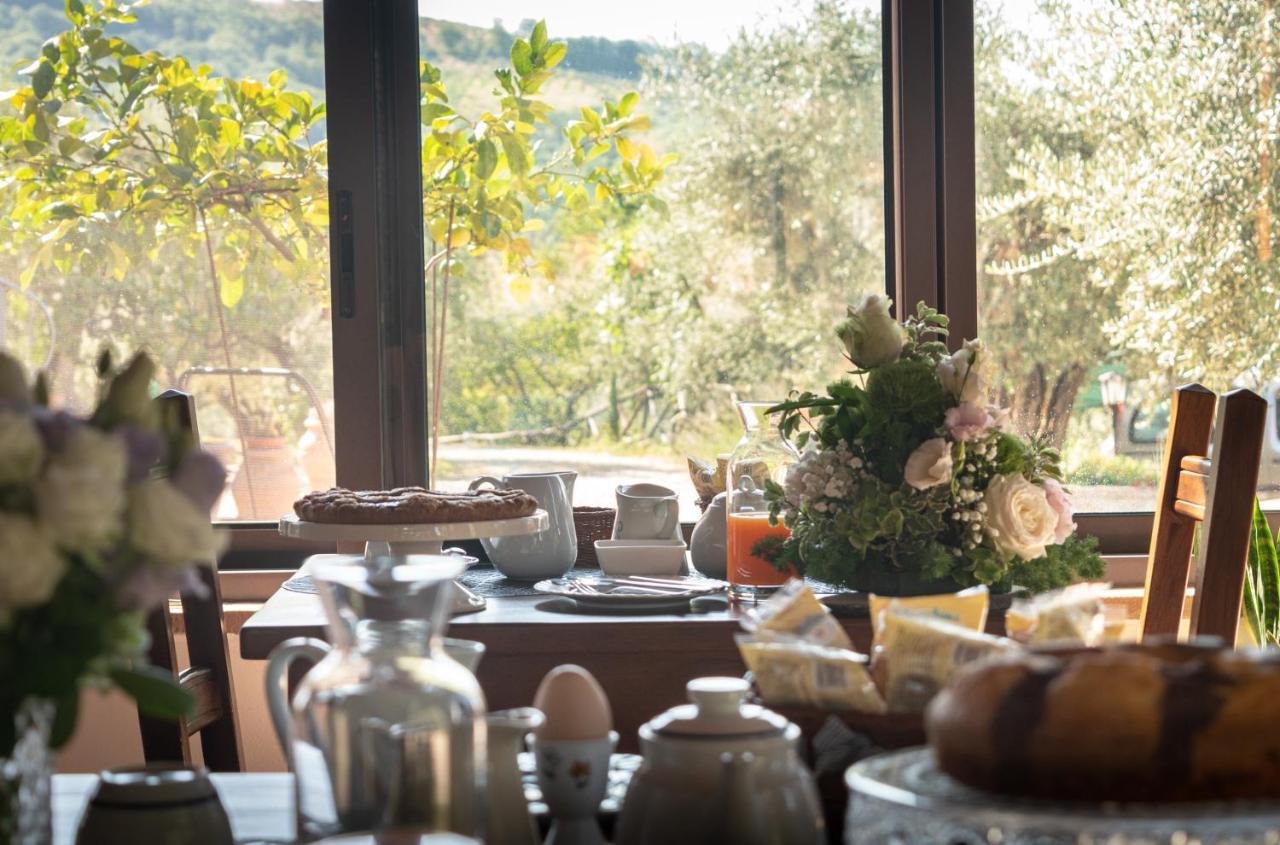 Agriturismo La Rocca Assisi Petrignano Zewnętrze zdjęcie