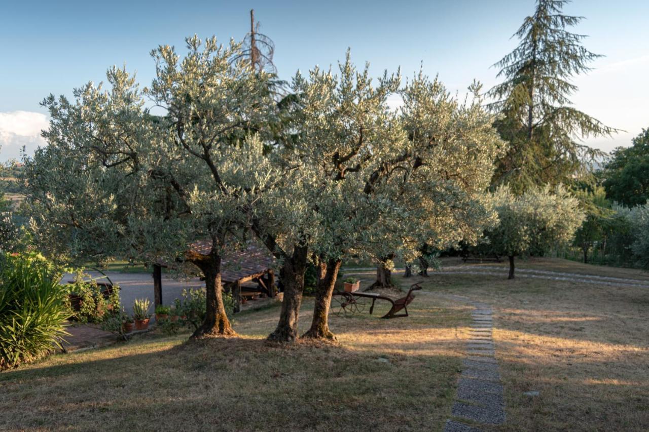 Agriturismo La Rocca Assisi Petrignano Zewnętrze zdjęcie
